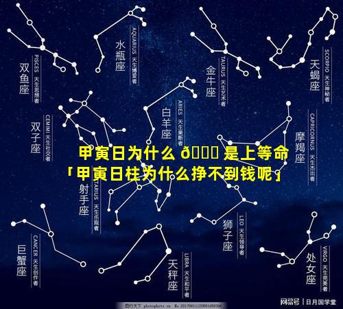 甲寅日为什么 🐕 是上等命「甲寅日柱为什么挣不到钱呢」